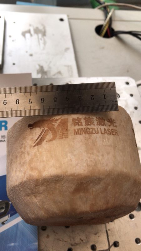 椰子激光打標(biāo) 椰子激光打標(biāo)